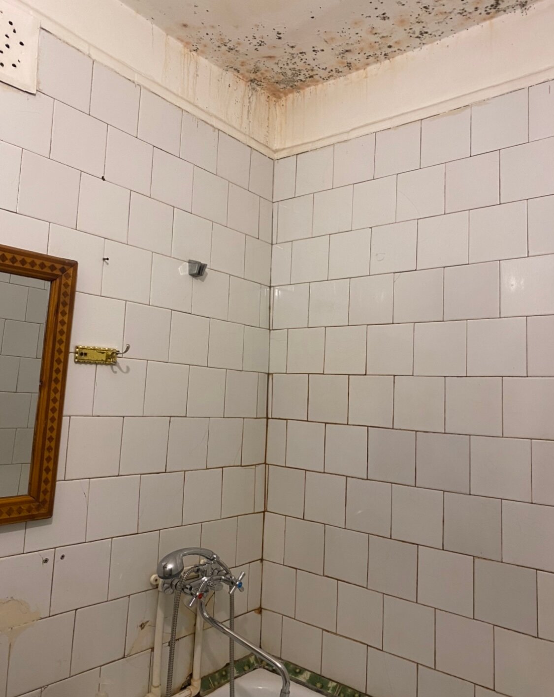 Фото Солнечная