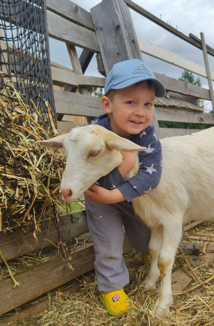 Фото Семейная мини-ферма Фазенда