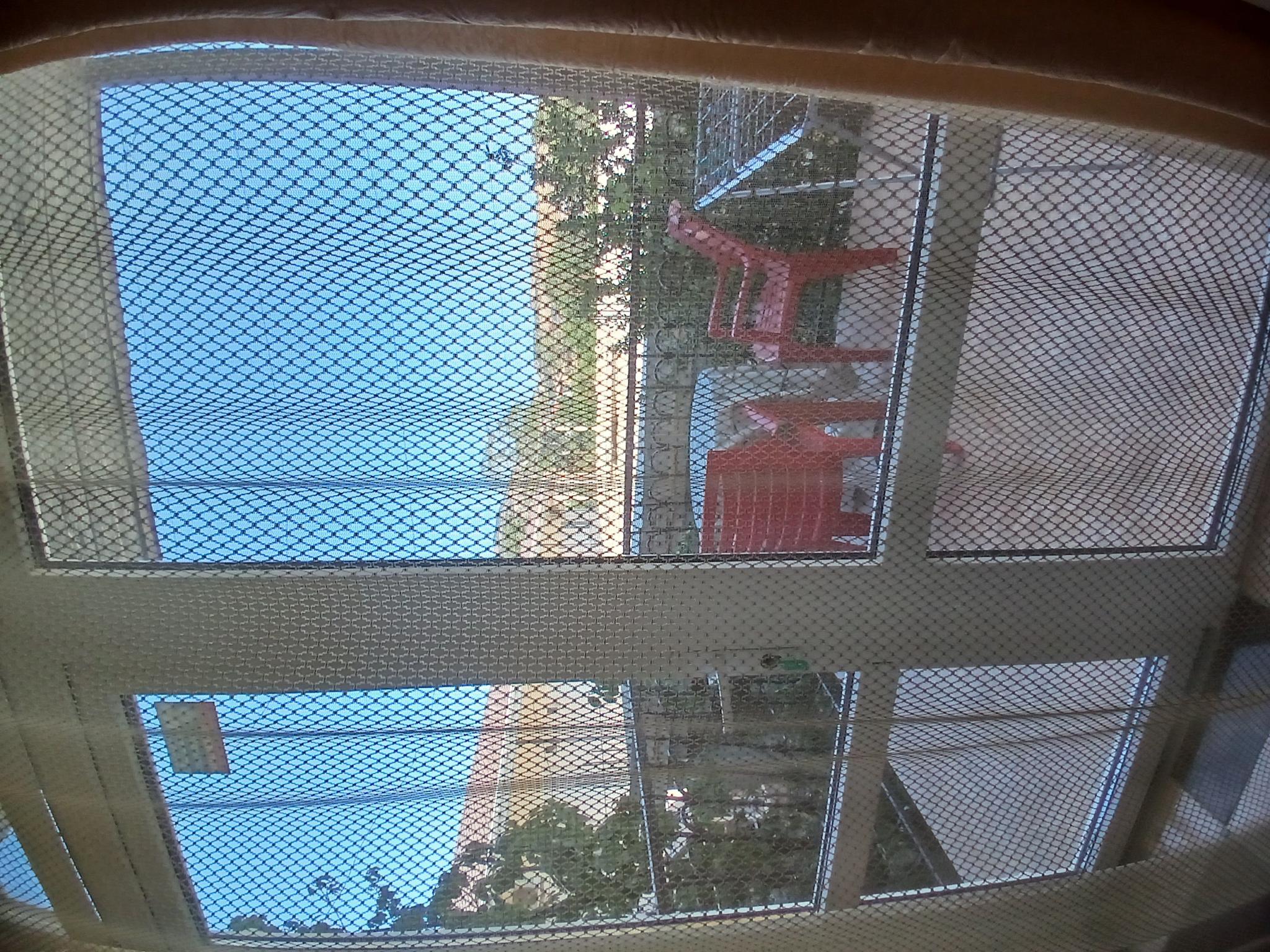 Фото Георич