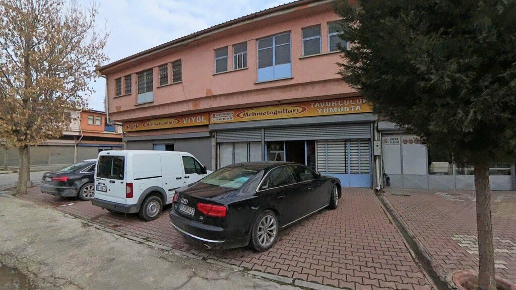 Egg and poultry meat Mehmetogullari Poultry Egg, Konya, photo