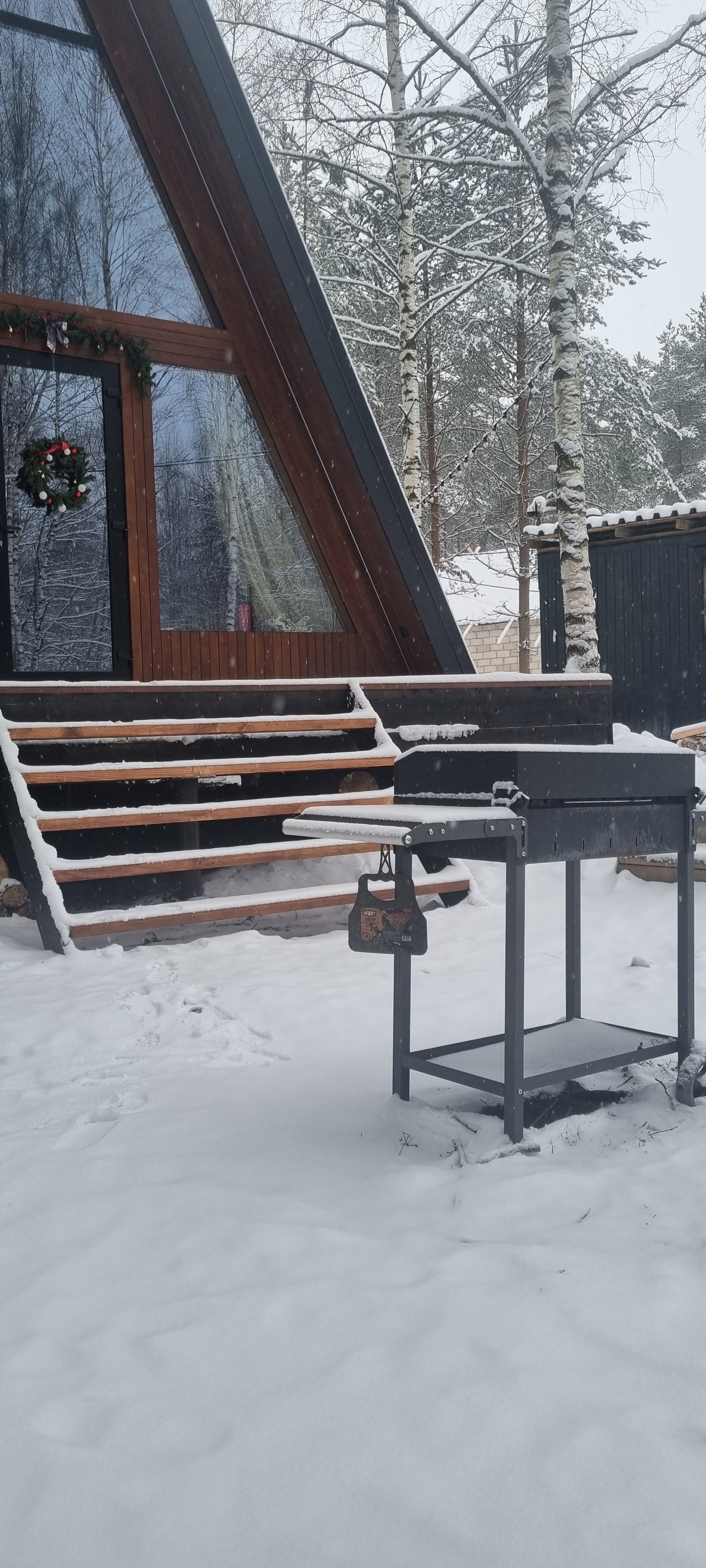 Фото Шишки Парк