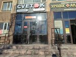 Cvetok (Saryarqa kóshesi, 6), flower shop