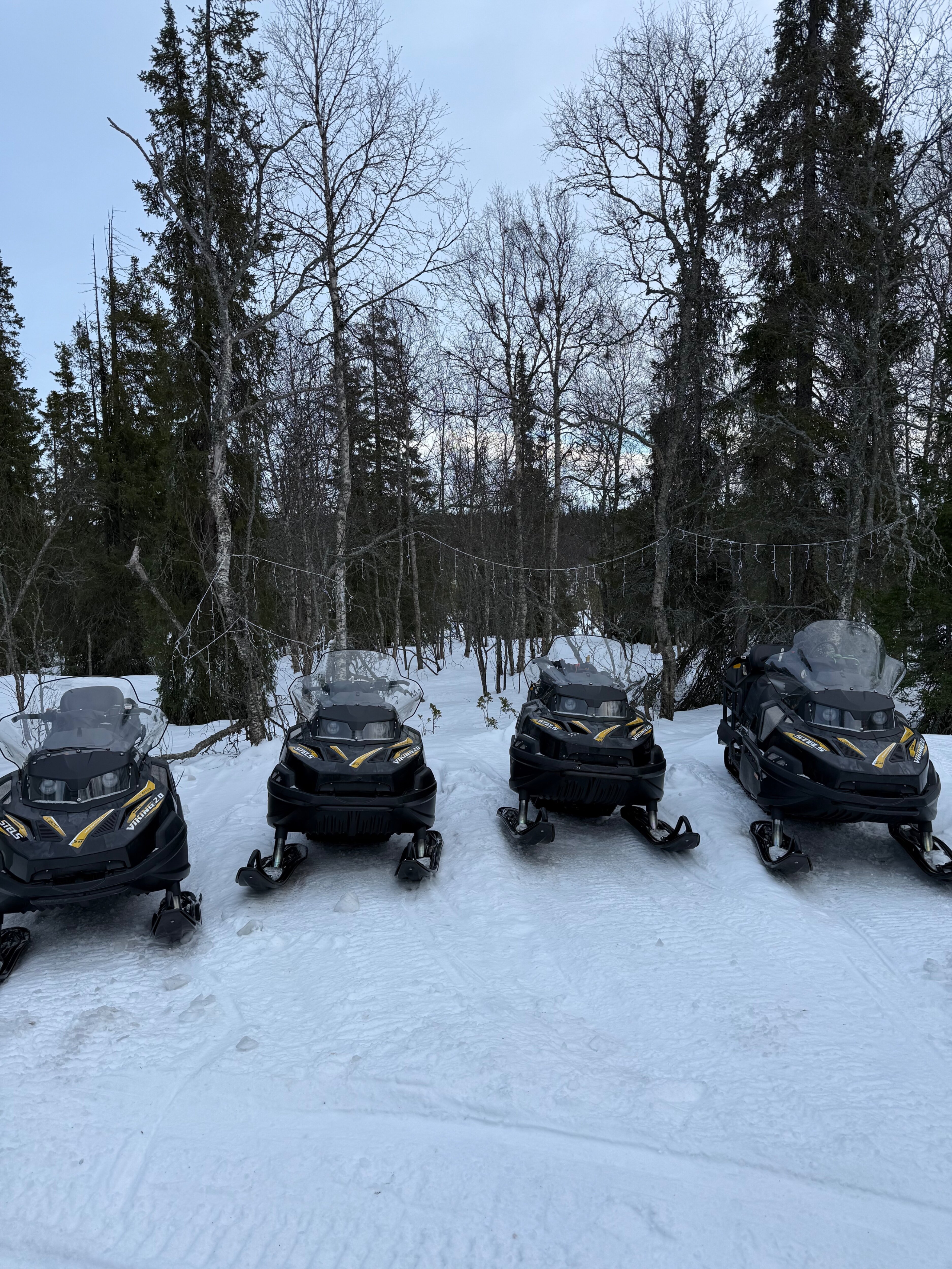 Фото Хаски Кэмп