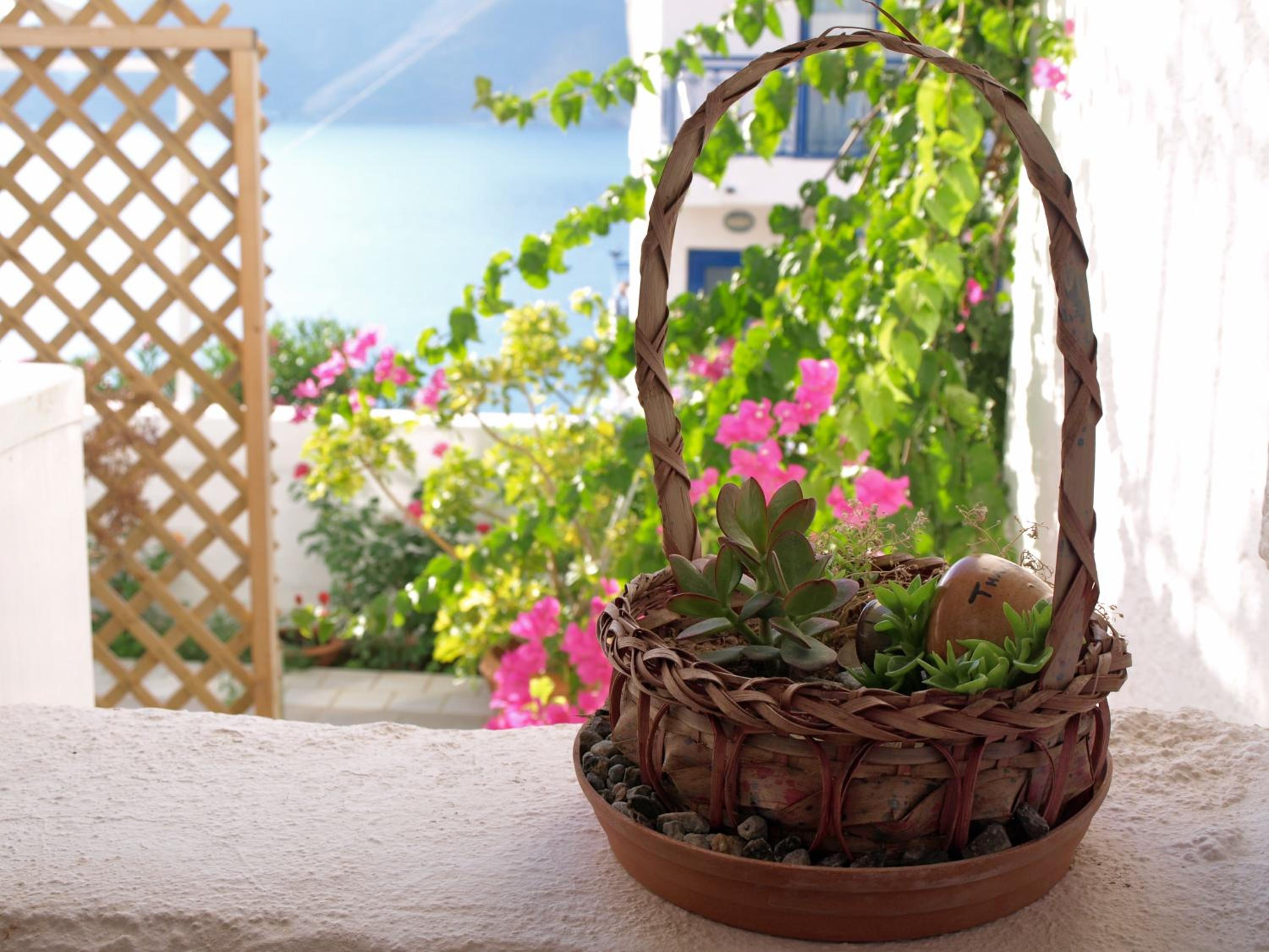 Фото Michalis Studios