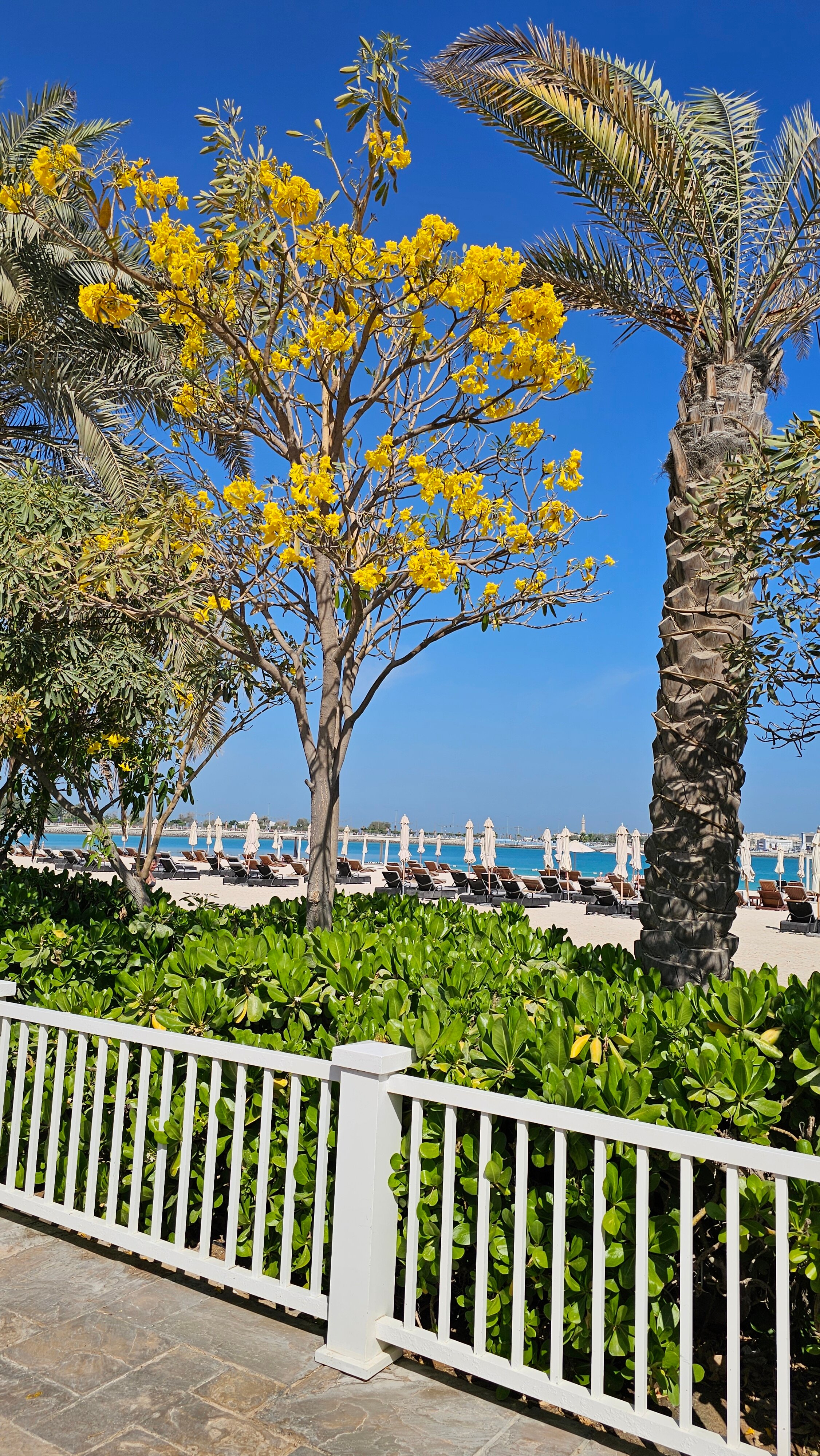 Фото The St. Regis Abu Dhabi