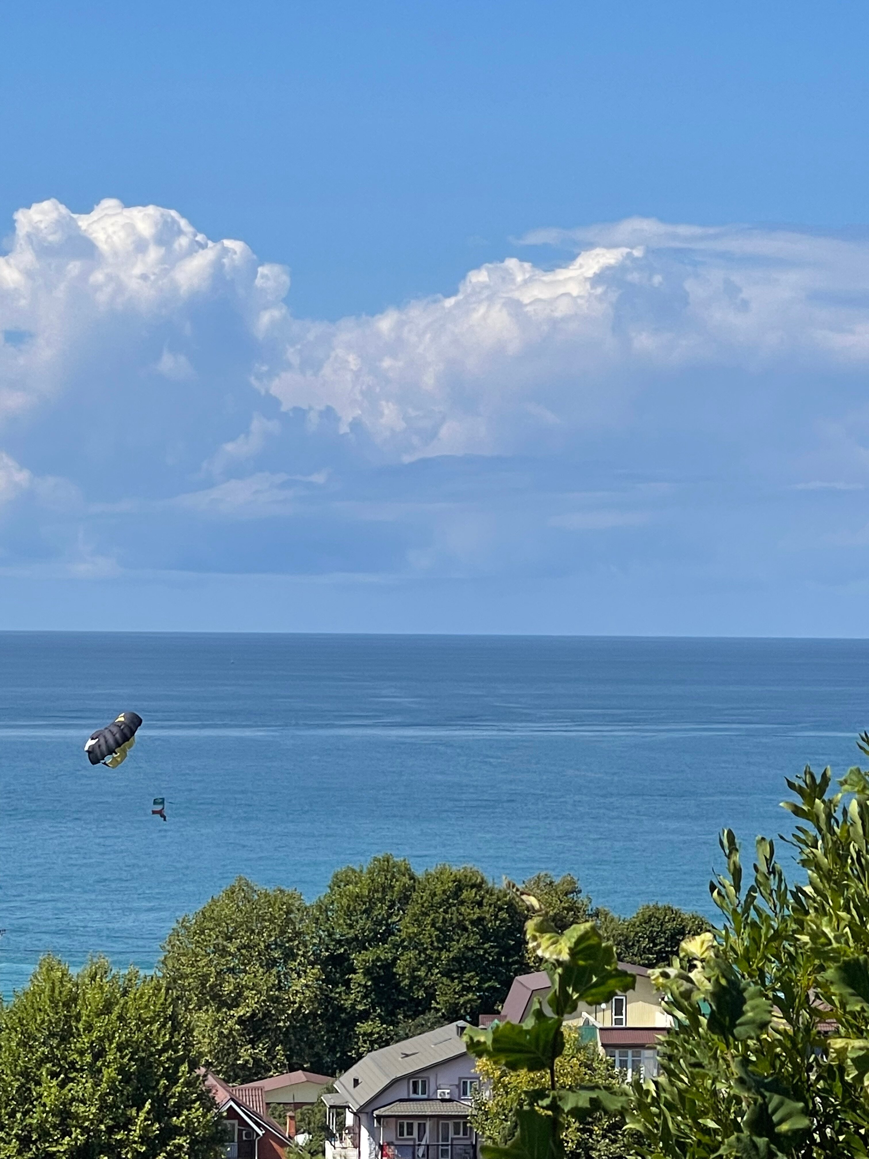 Фото Под Магнолией