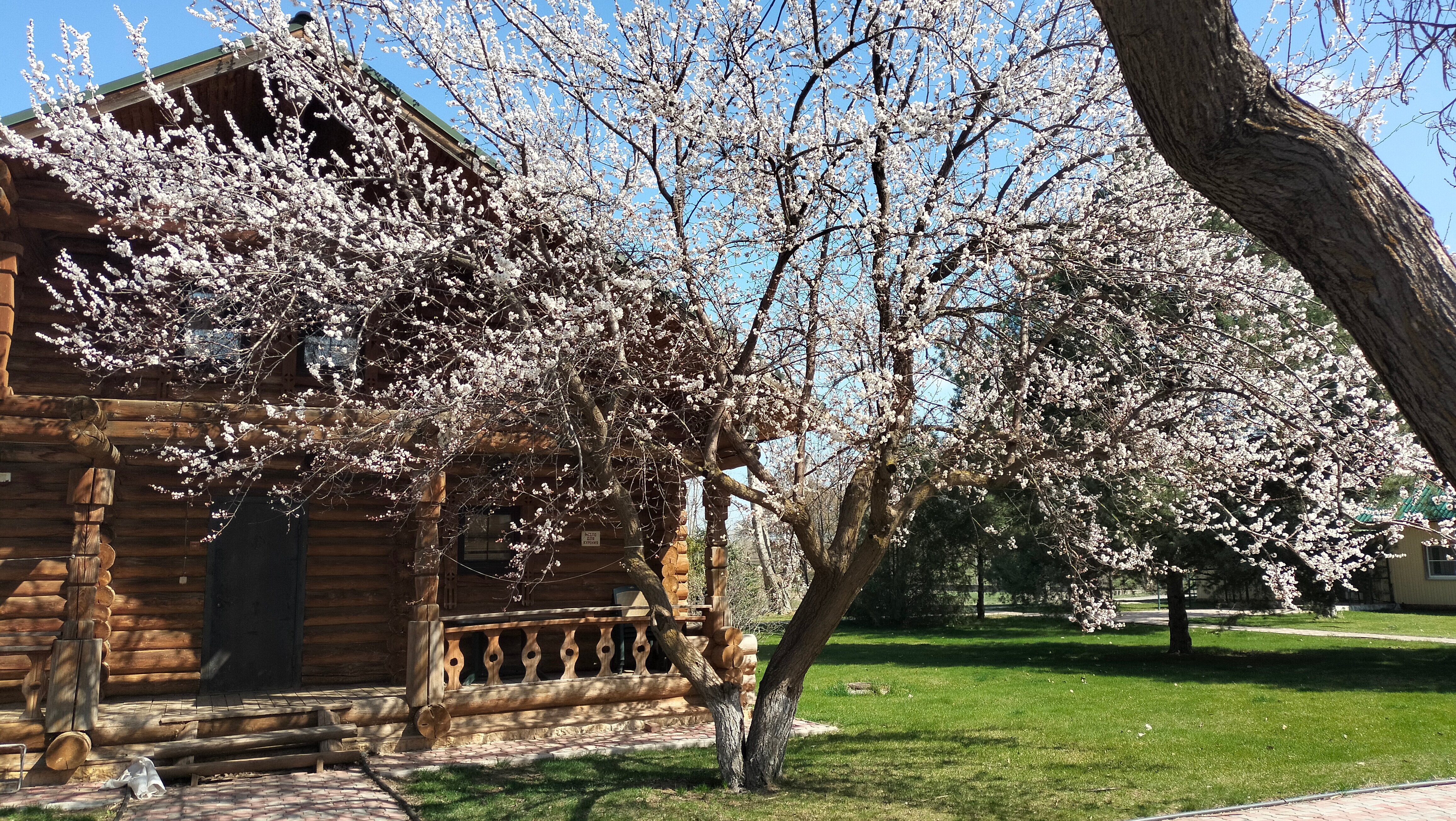 Фото Поплавок