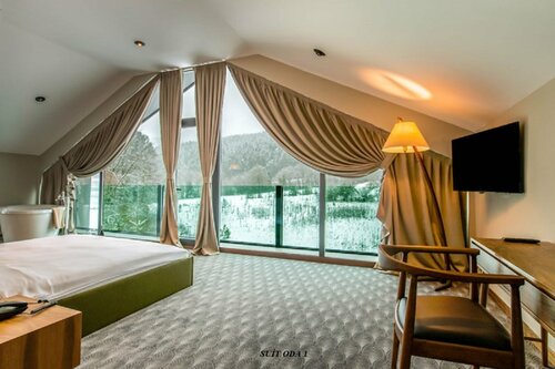 Гостиница Abant Lotus Otel в Болу