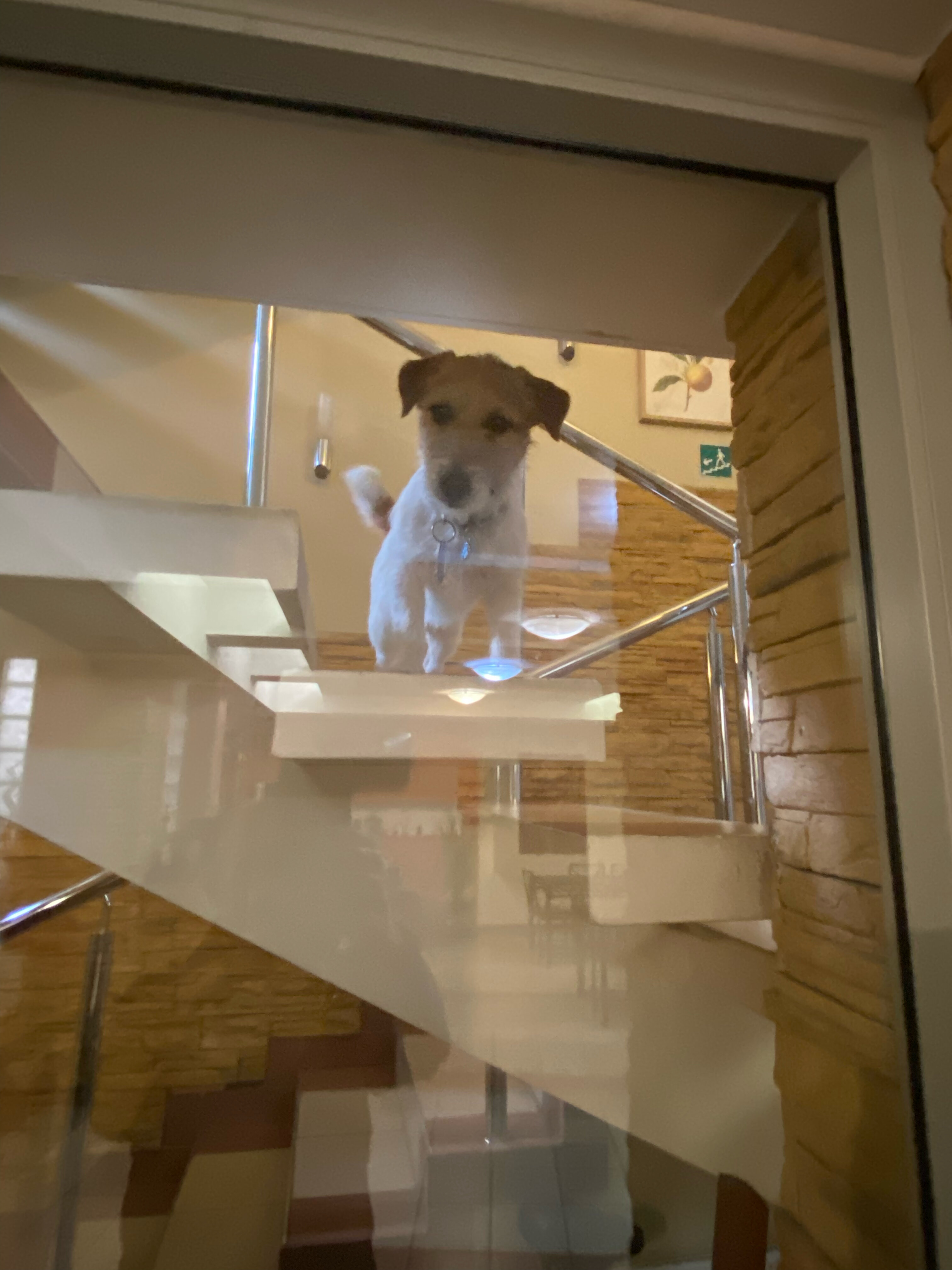 Фото Мебелированные комнаты Курская 10