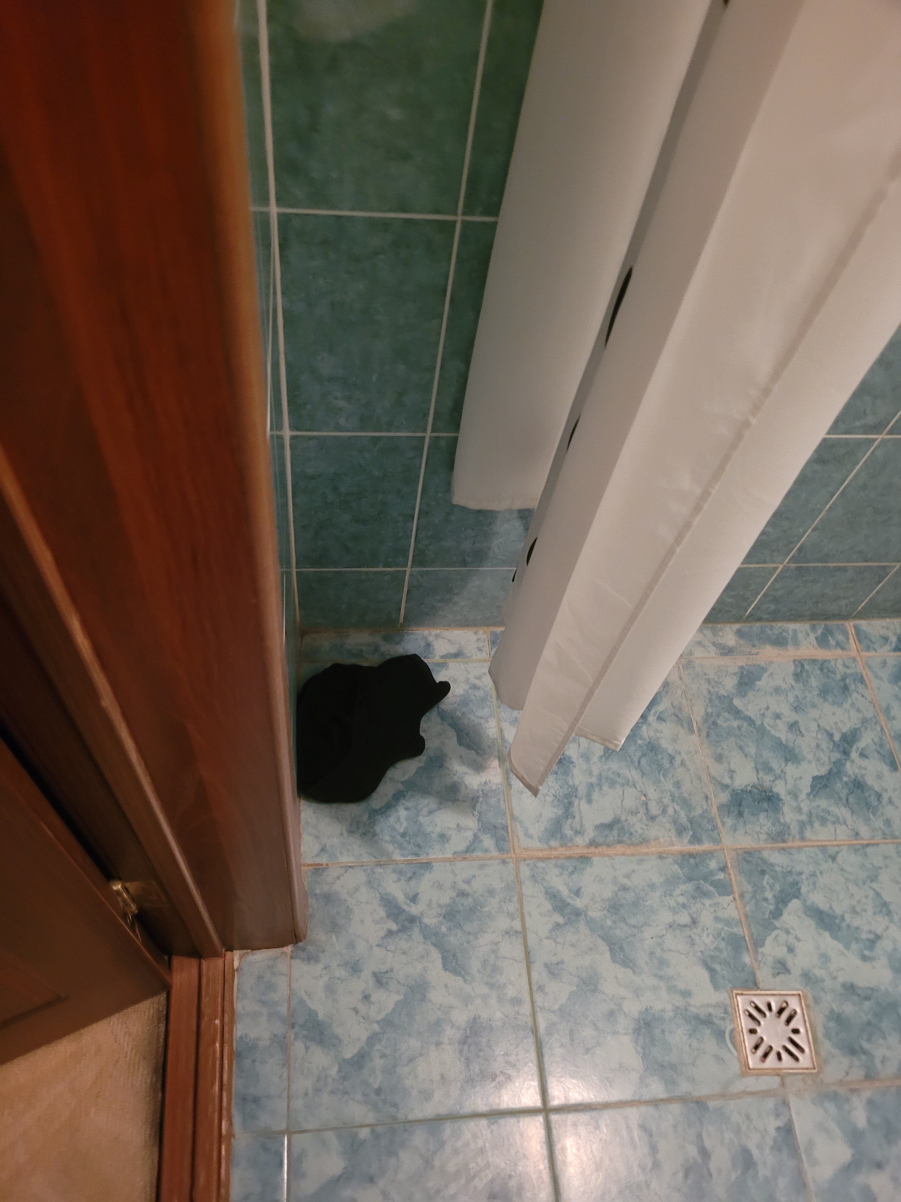 Фото Рыжий пёс