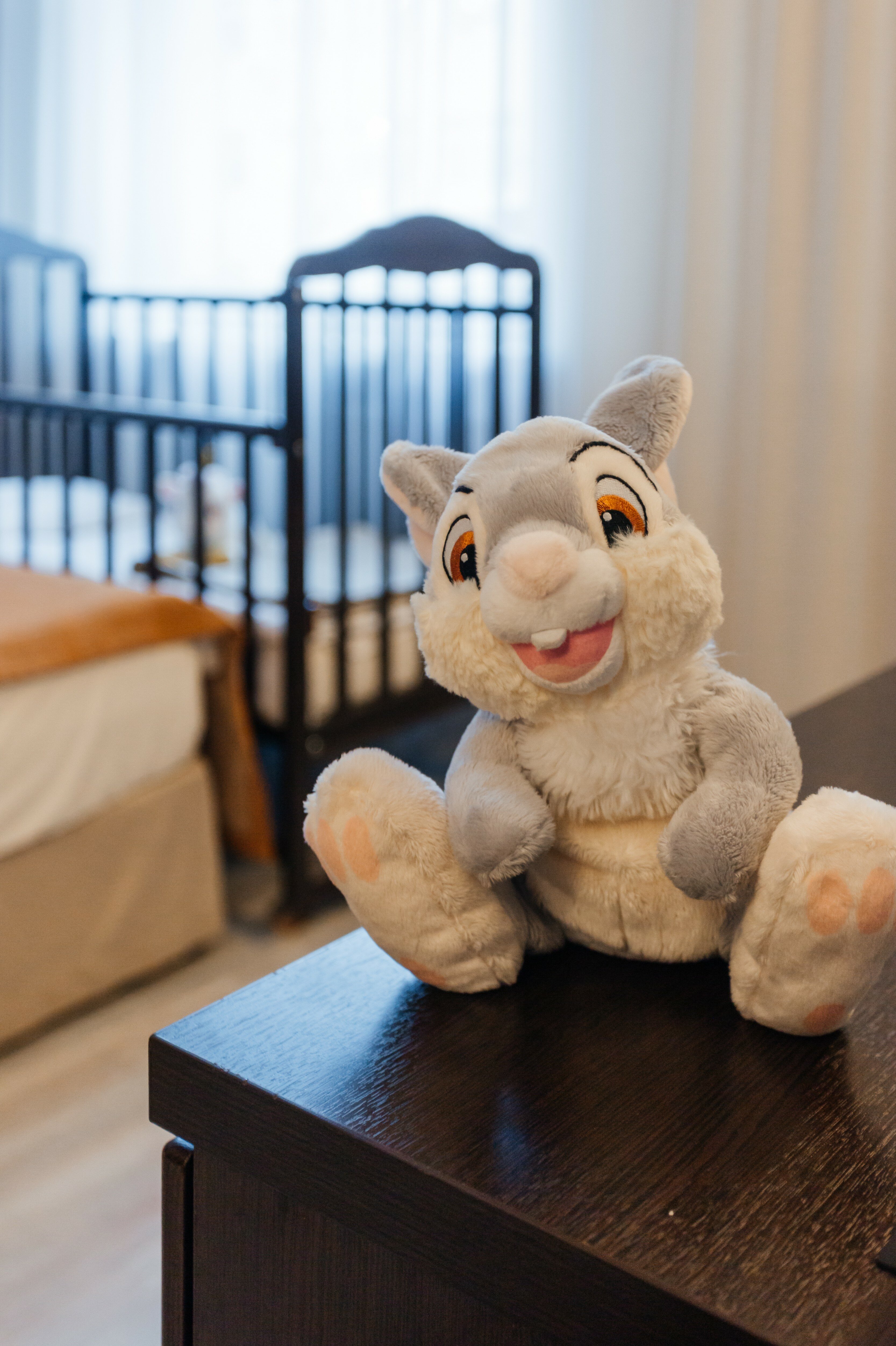 Фото Балтия