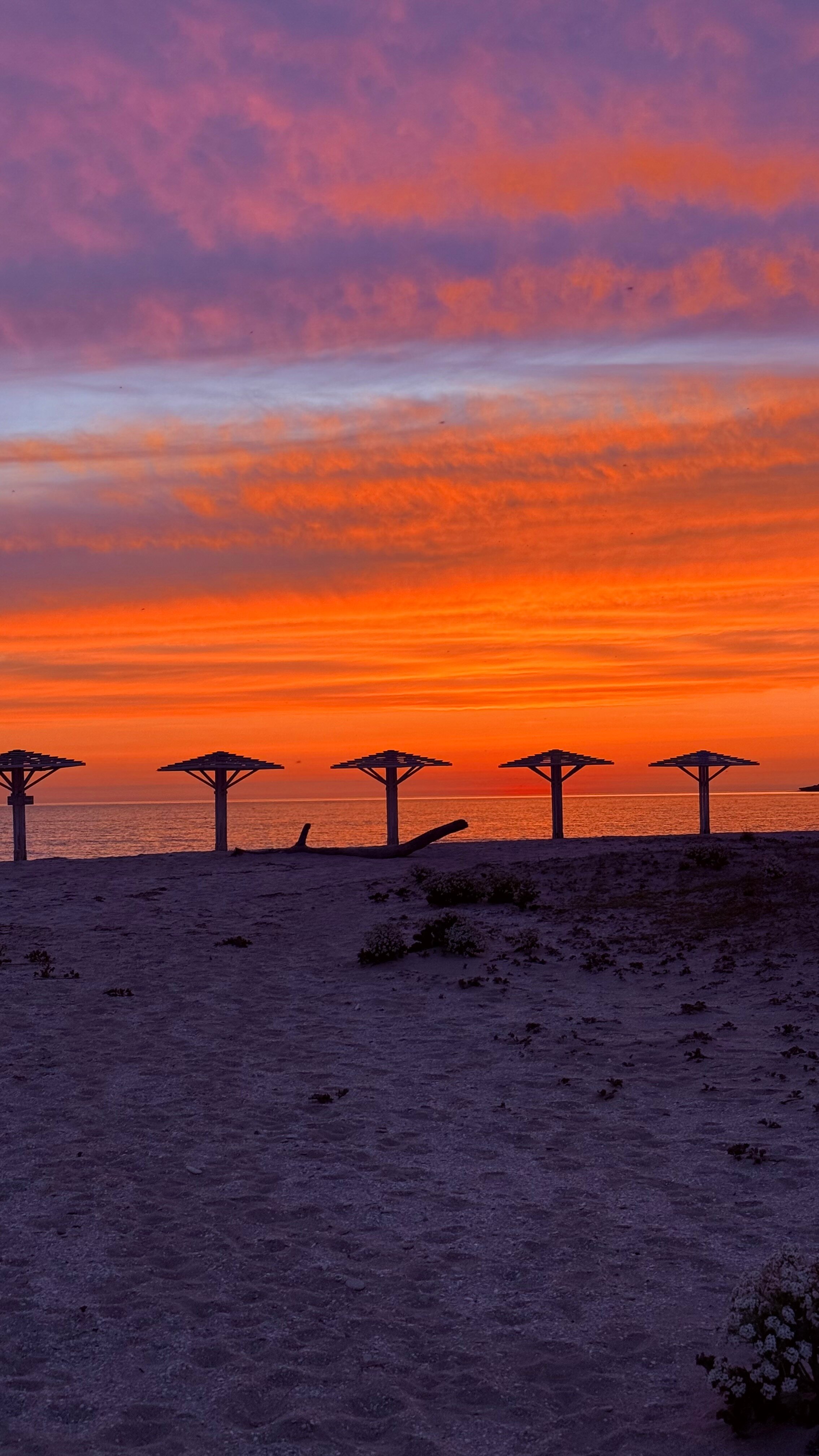 Фото Семейный