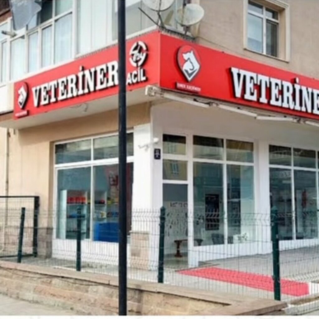 Ветеринарная клиника Emek Kecioren Veterinary Clinic, Анкара, фото