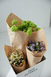 Orte Botanica (Nevskiy Avenue, 147Б) ، توصيل باقات الزهور