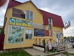 Венера (ulitsa Pushkina, 32) ، متجر لبيع ورق الجدران