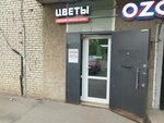 Цветы (ulitsa Chekhova, 63), flower shop