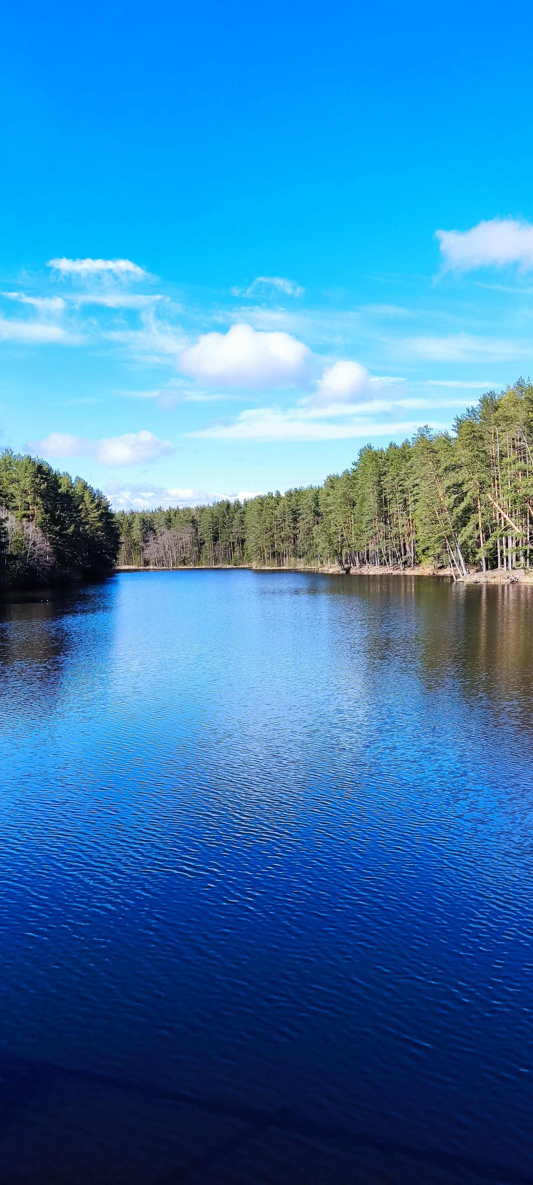 Фото Семейный парк Чёрная речка
