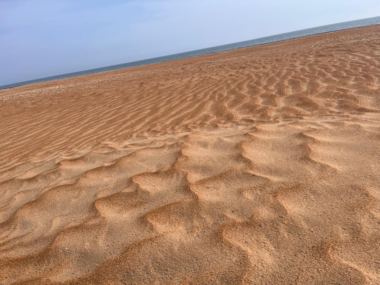 Фото Сафари