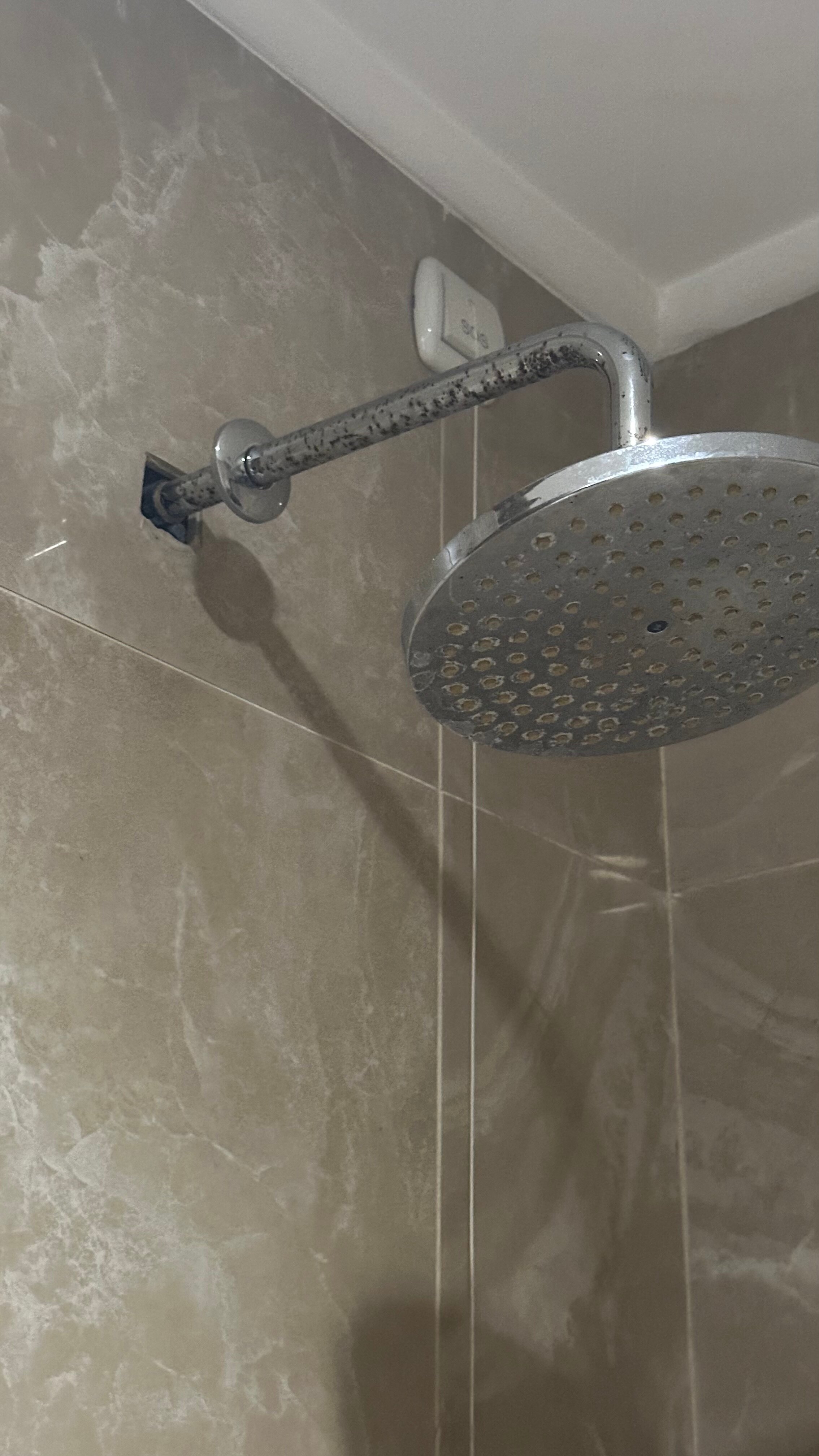 Фото Constantine the Great