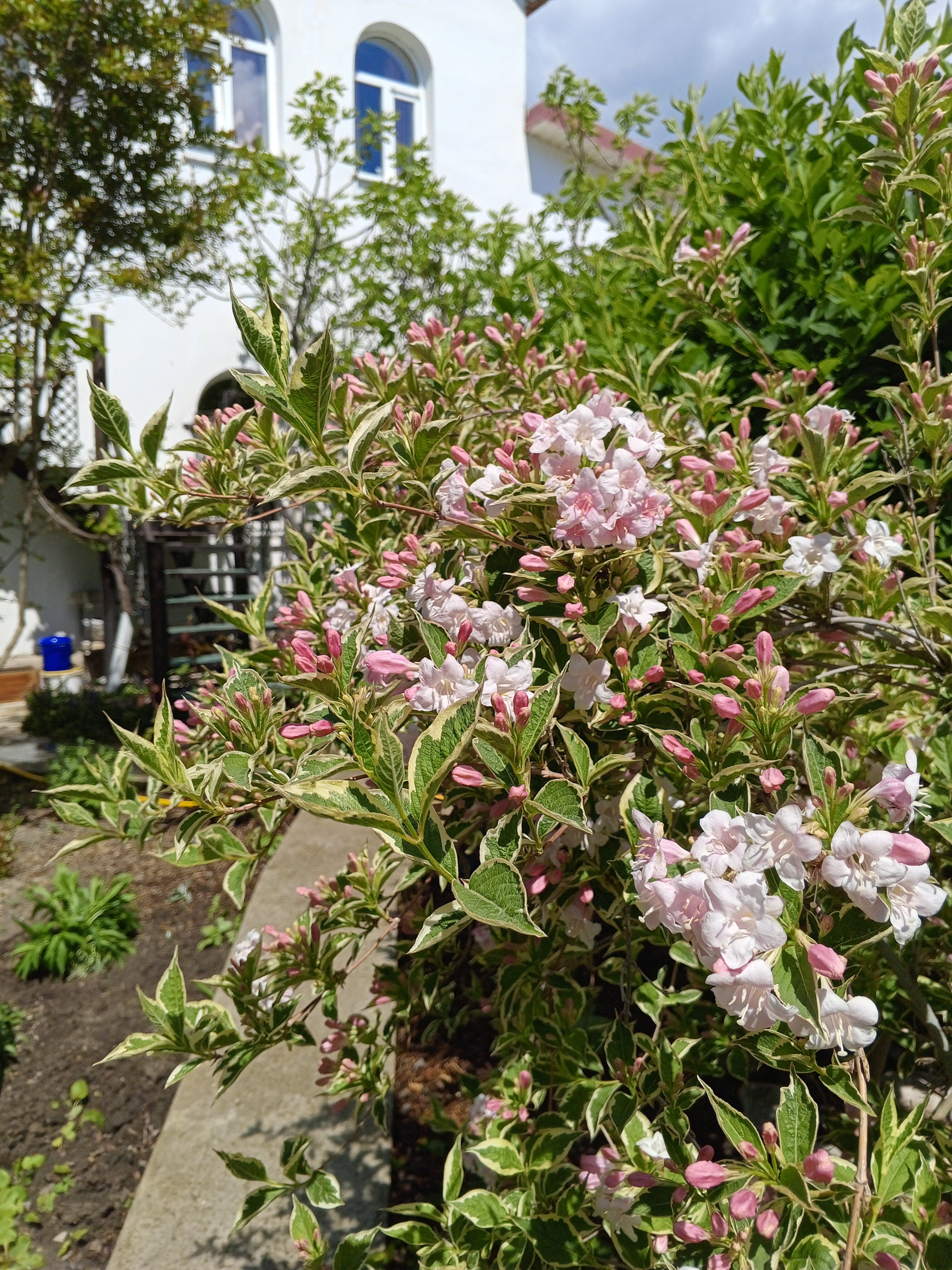 Фото Домик скульптора