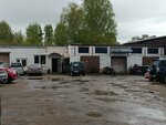 Carex parts (Kalinina Avenue, 9А), tienda de repuestos y artículos para automóviles