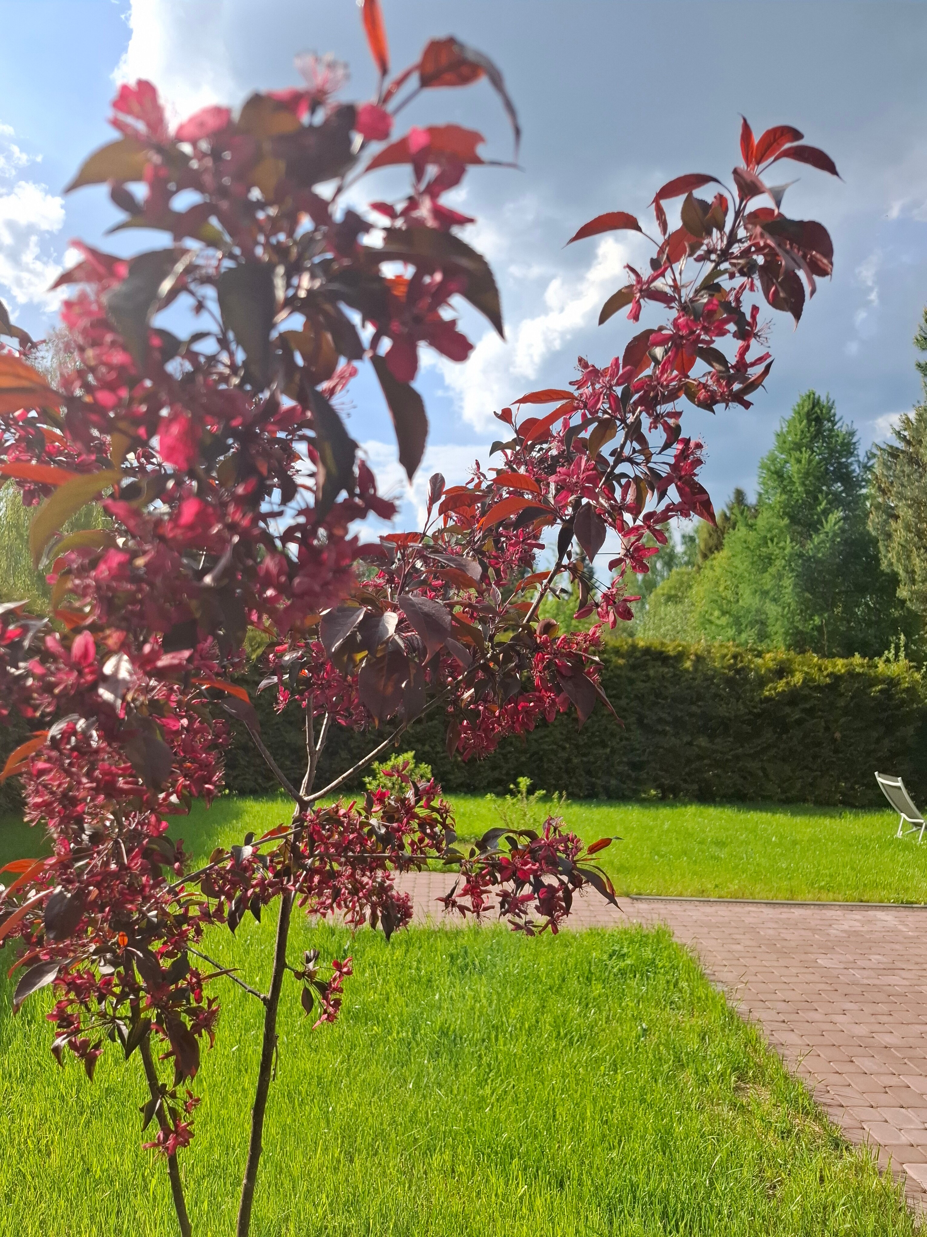 Фото Домики на Луговом