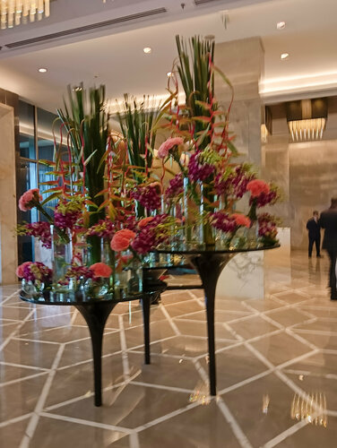 Внешний вид отеля Jw Marriott Hotel New Delhi Aerocity в Делях, фото 5