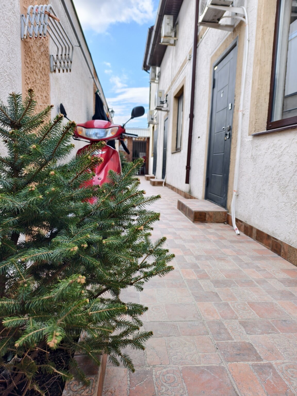 Фото Юлиана