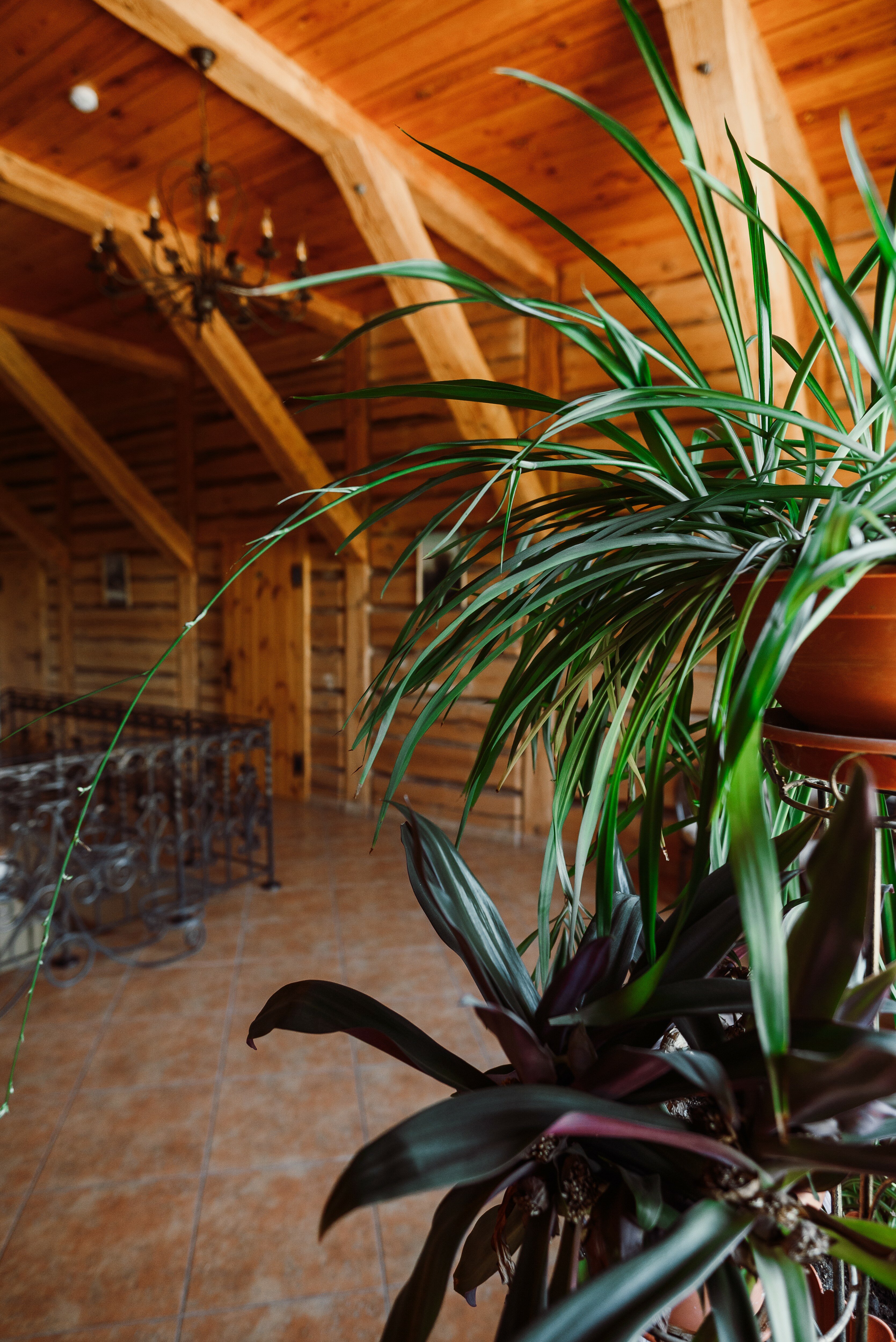 Фото Алексеевская Усадьба