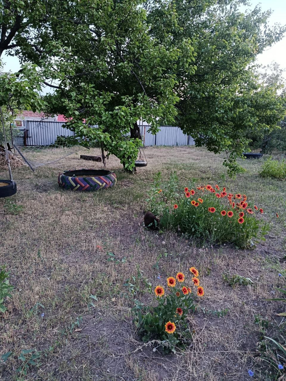 Фото Доброслав