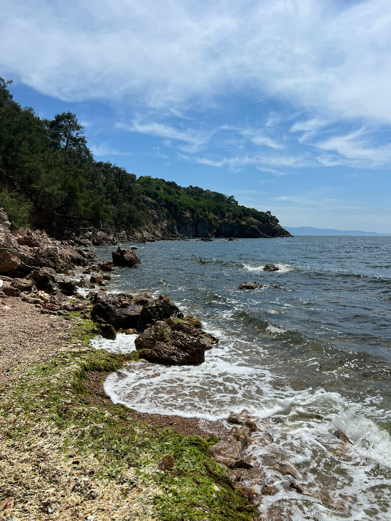 Plaj Alman plajı, Adalar, foto
