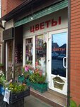 Tsvety (Sadovaya ulitsa, 96), flower shop
