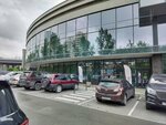 Novosibirskoye oblastnoye otdeleniye Opora Rossii (Sibrevkoma street, 9), community organization
