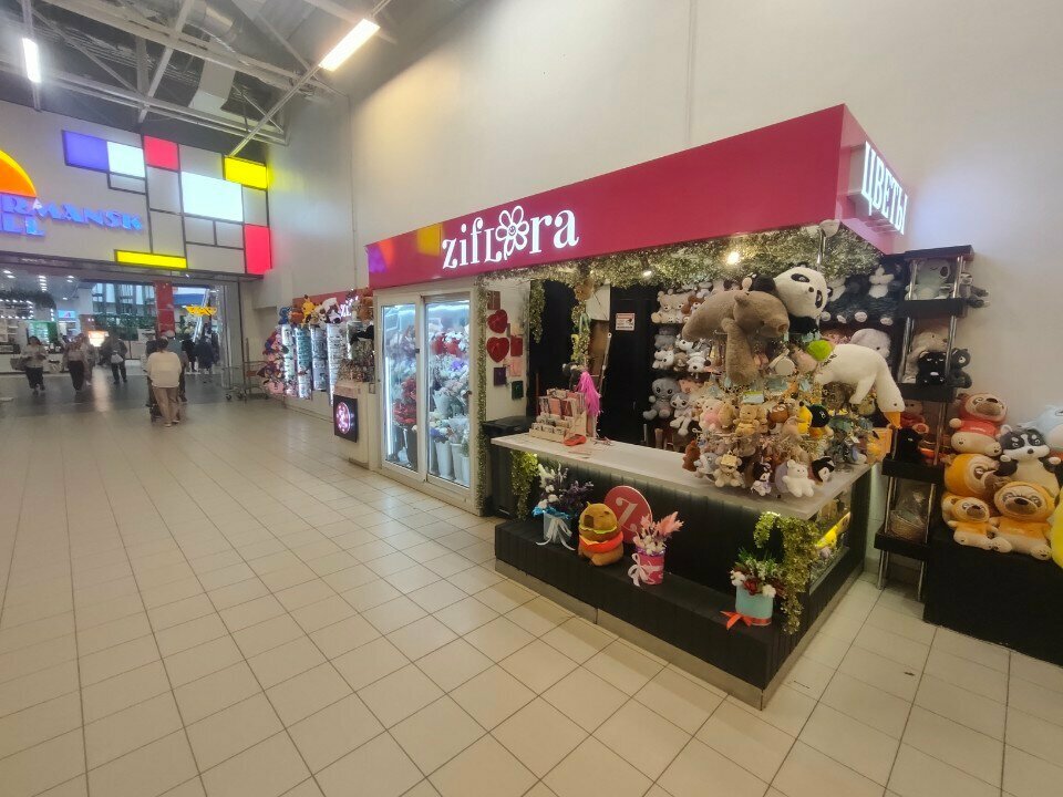 Jewelry shop Zifa, Murmansk, photo