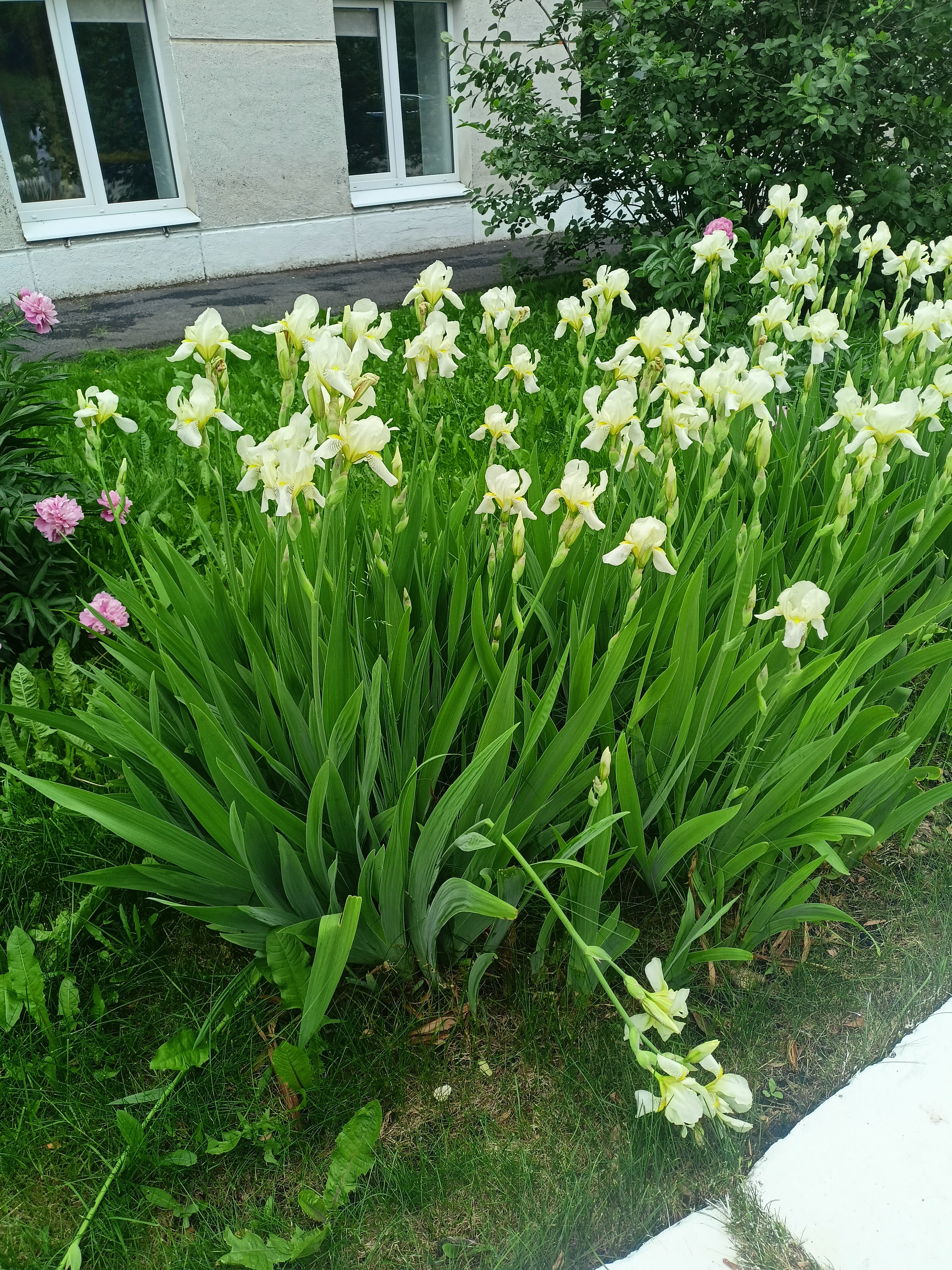 Фото Сталагмит