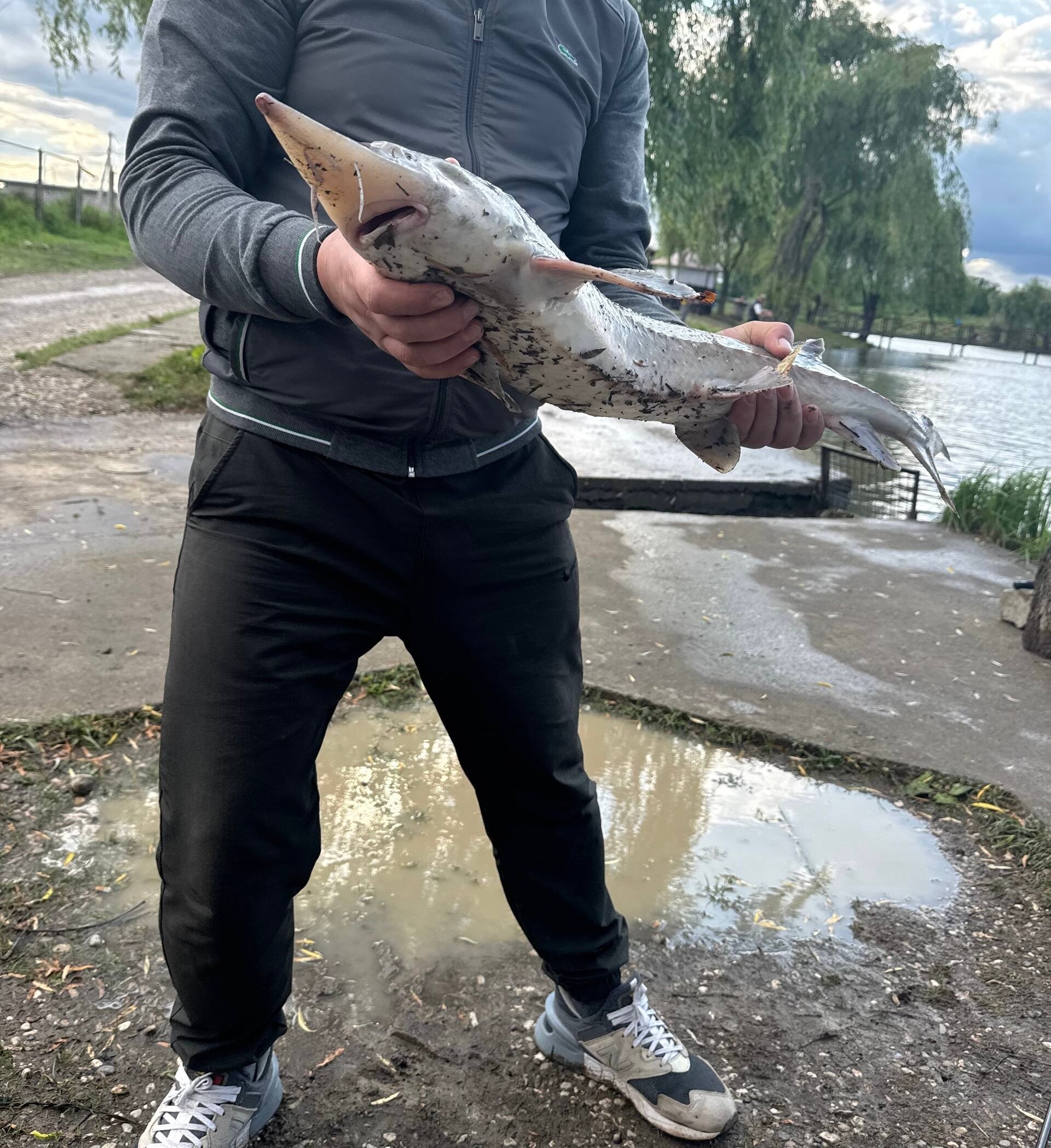 Фото Драгунская застава