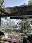 Массандра – Кольцо (Autonomous Republic of Crimea, Yaltinskiy gorodskoy sovet, Urban-Type Settlement of Massandra, Mira Street), public transport stop