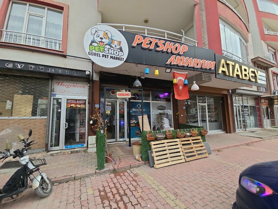 Pet shop Gurel Pet Market, Konya, photo