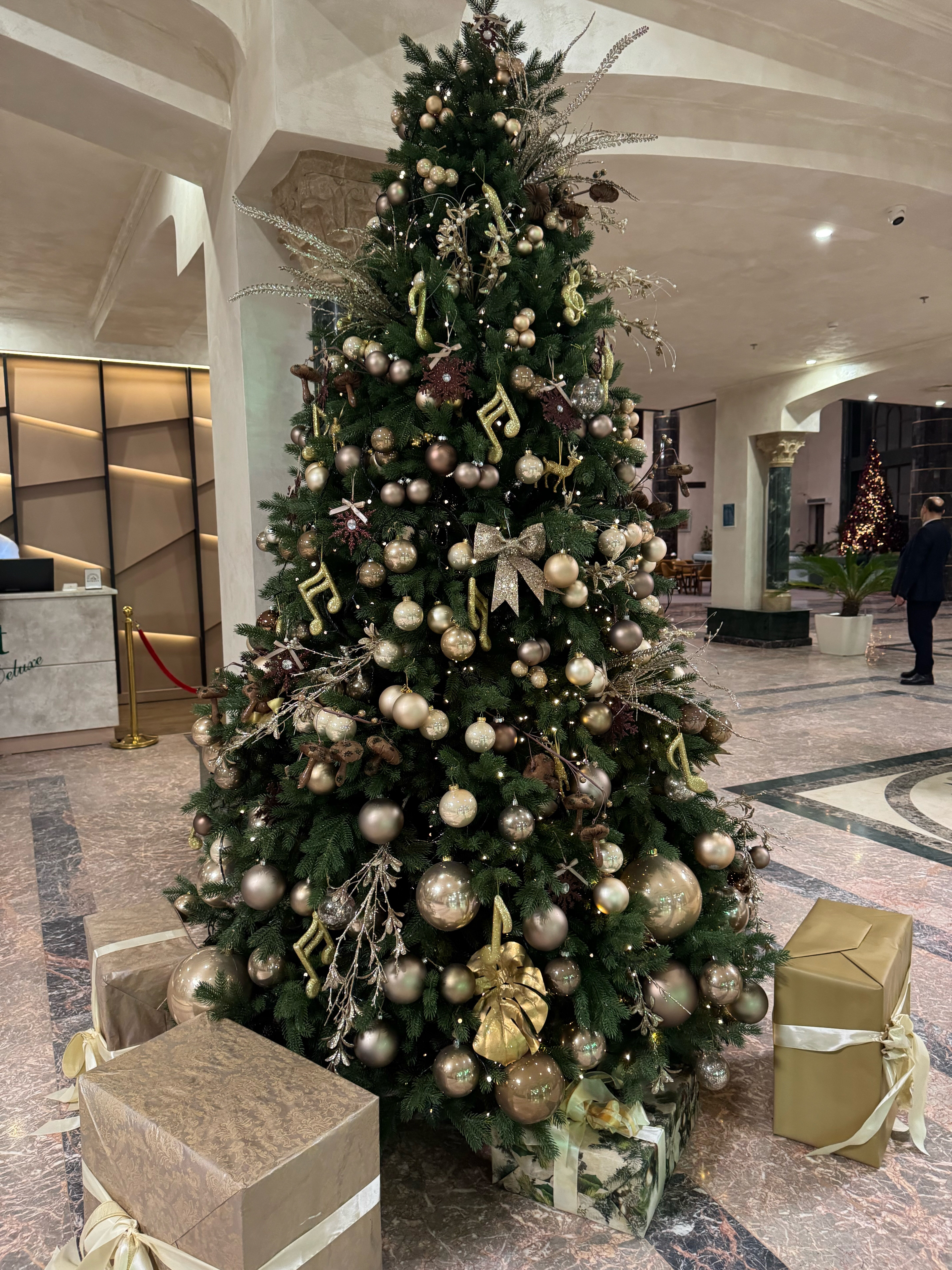 Фото Eighty Eight Hotel and SPA