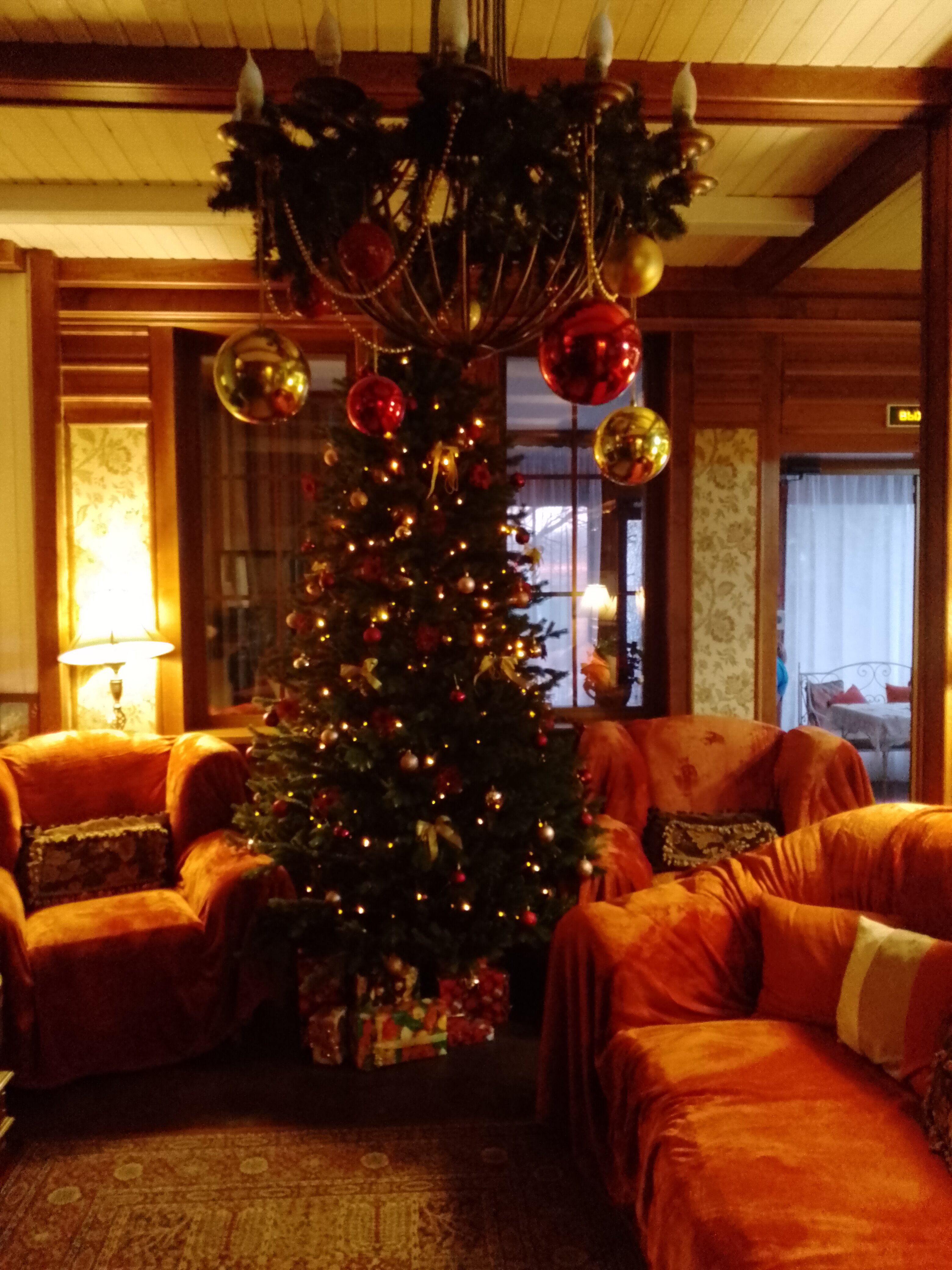 Фото Березки