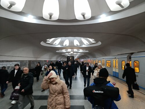 Жануарлармен жыныстық қатынас