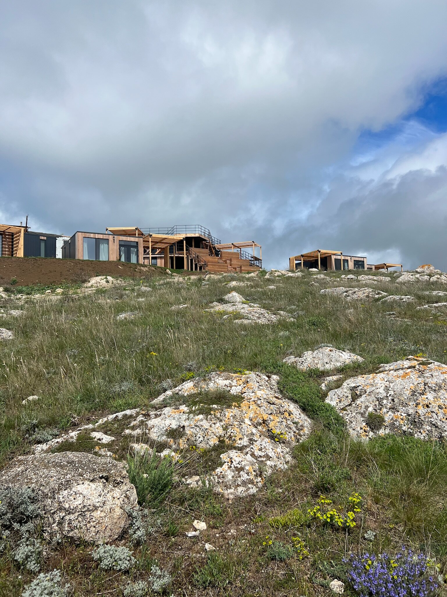 Фото Белый кролик