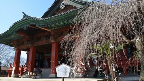 Гостиница Toyoko Inn Gumma Ota Station Minami в Асикаге