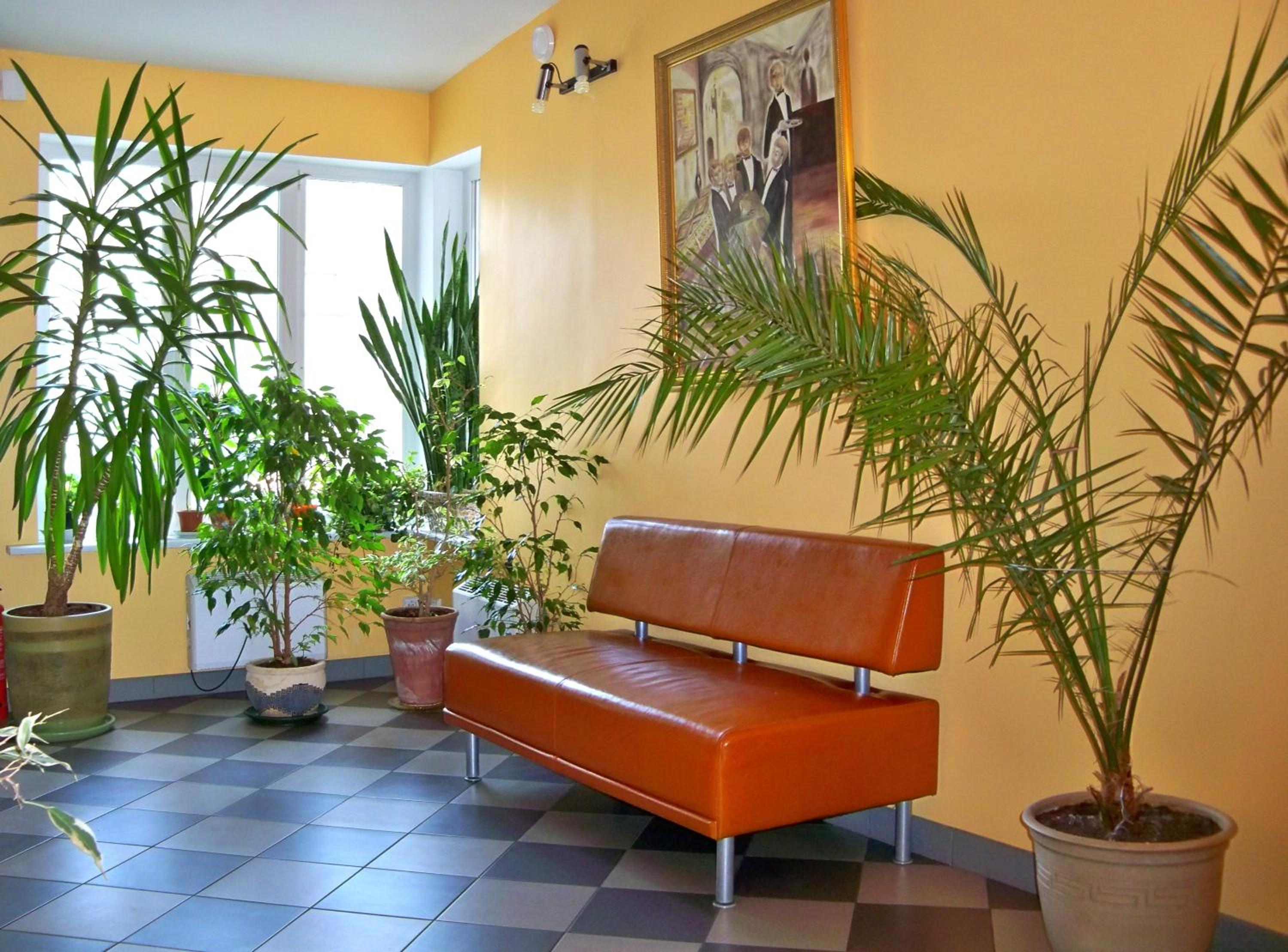 Фото Гостиница Велга