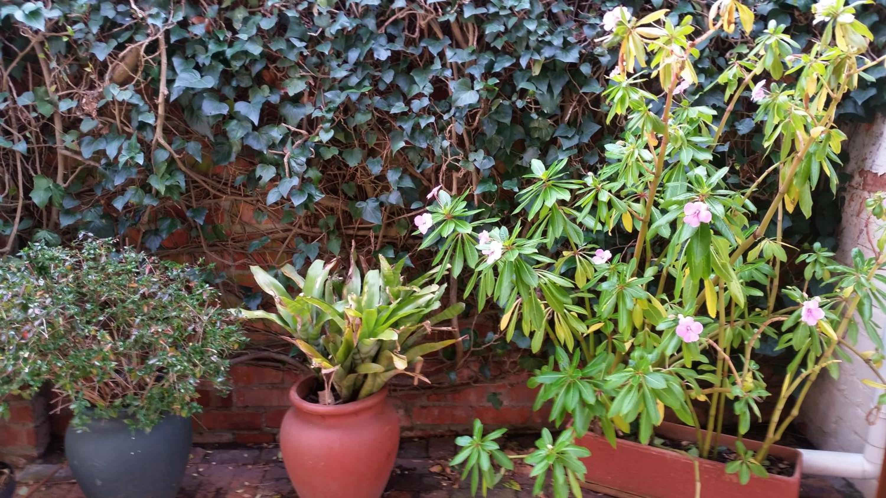 Фото Bradclin House