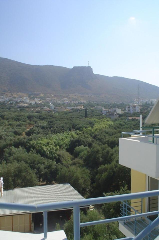 Фото Olympic Star Apartments