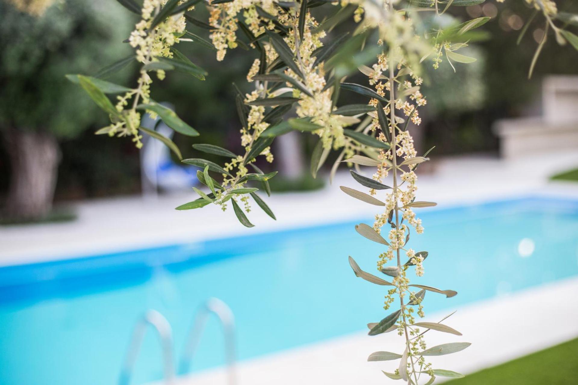 Фото Corina Suites and Apartments