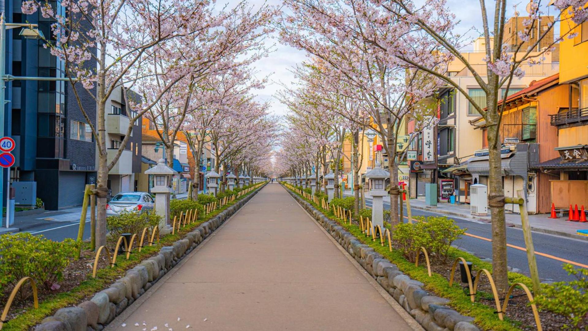 Фото Gen Hotel Kamakaura