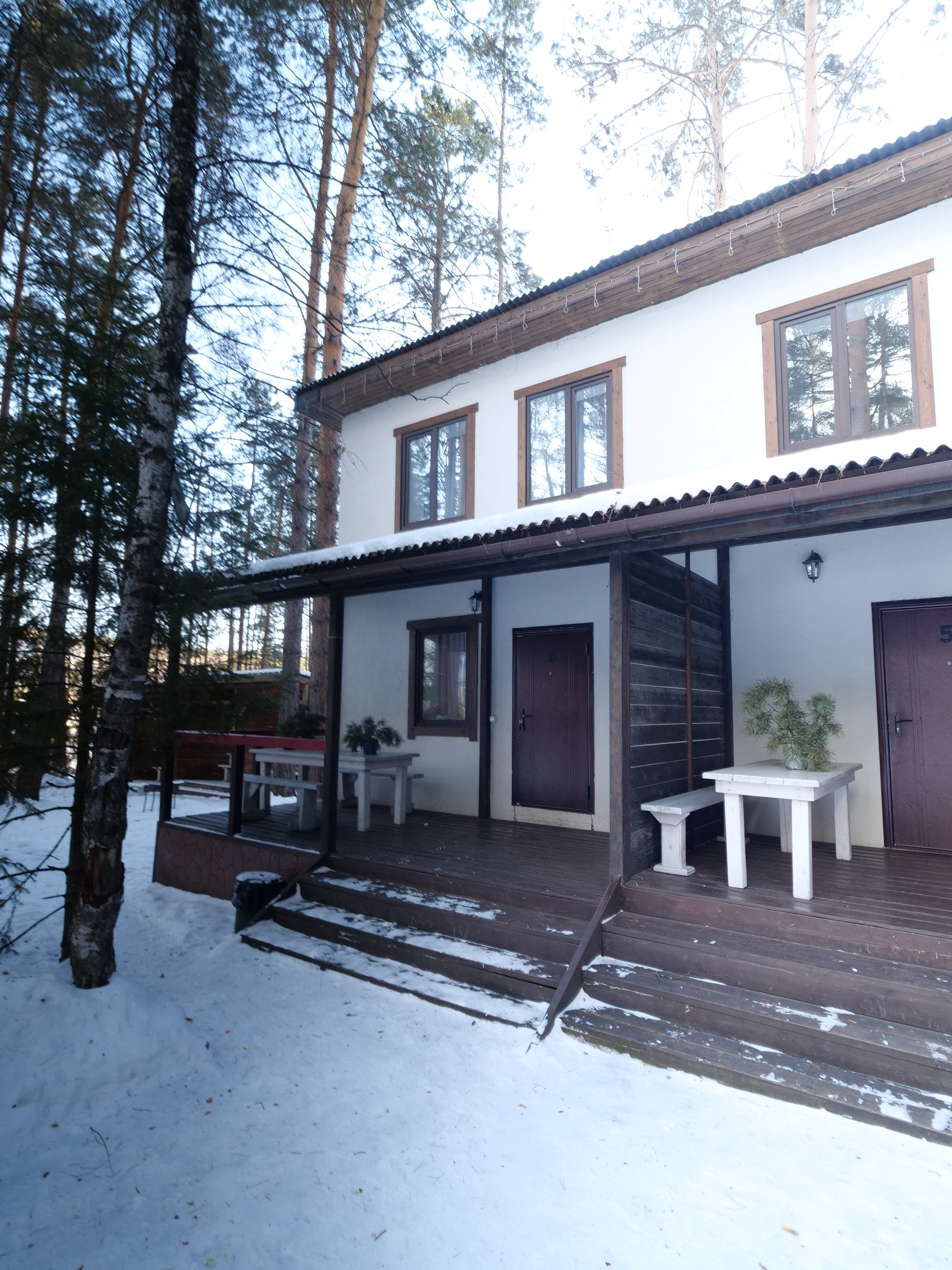 Фото Брусника