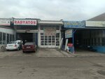Kosker Automotive (Ankara Province, Yenimahalle, Inonu Neighborhood, 1757th Street, 12) ، ورشة لتصليح السيارات